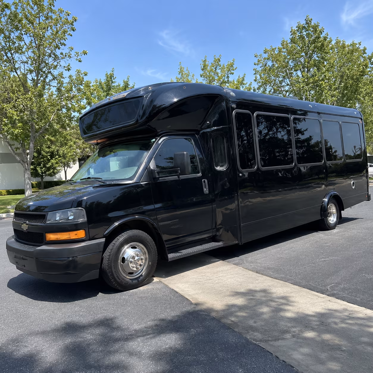 woodbridge 15 passenger party bus